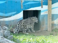 -青藏高原野生动物园