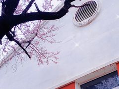 -吉林大学(南岭校区)