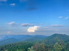-武陵山森林公园
