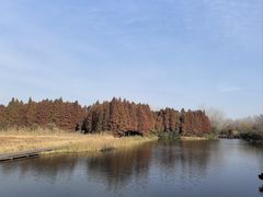 -溱湖国家湿地公园