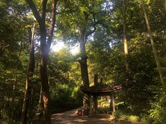 -西湖风景区十里琅珰-五云山