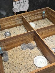 -酷嗒动物文化乐园(cutezoo西溪乐天城店)