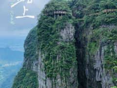 -张家界天门山国家森林公园