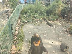 -成都动物园