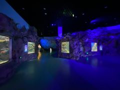 -福州罗源湾海洋世界旅游区