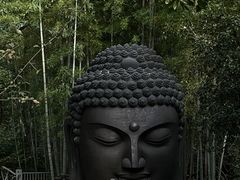 -杭州植物园