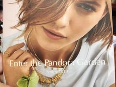 -Pandora潘多拉珠宝(宝山万达广场店)