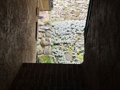 -寂照庵