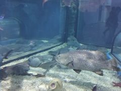 -福州罗源湾海洋世界旅游区