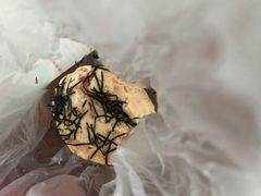 -都恩客(高岛屋百货店)