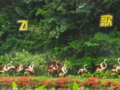 -广州长隆飞鸟乐园