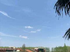 -黄海国家森林公园