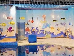 -太平洋海底世界