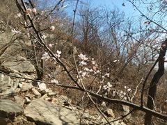 -北京西山国家森林公园