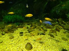 -福州罗源湾海洋世界旅游区