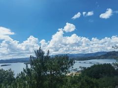 -千岛湖天屿景区