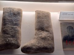 -辽宁古生物博物馆