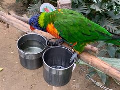 -南宫五洲植物乐园