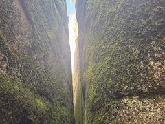 -汤旺河林海奇石景区