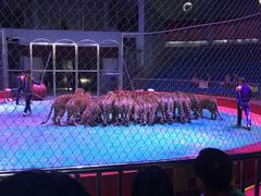 -西安秦岭野生动物园