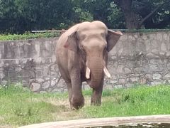 -西安秦岭野生动物园