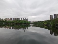 -重庆彩云湖湿地公园