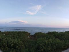 景点-合肥滨湖国家森林公园