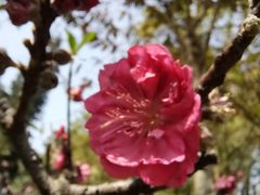 -桃花涧