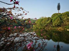 -圣爵菲斯大酒店(长沙世界之窗店)