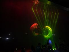 -芜湖新华联大白鲸海洋公园