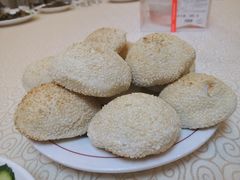 -九花山烤鸭店