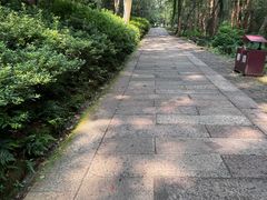 -宋宴(虎跑店)