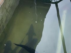 -何适山庄 ·可团建(水长城P2停车场店)