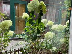 -慢丽江·云南野生菌土鸡锅(付家庄店)