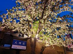 -天津五大道文化旅游区