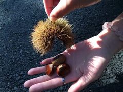 -丹东市五龙山风景区