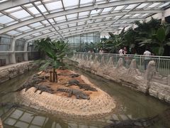 -石家庄市动物园