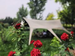 -圣露庄园·露营·烤肉·亲子