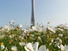 -海心沙亚运公园
