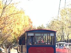 -永定河休闲森林公园