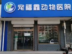 -宠福鑫24h动物医院