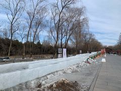 -野鸭湖国家湿地公园