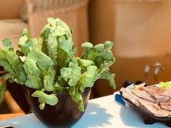 -东椰·海南椰子鸡火锅(朝阳门店)