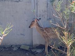 -野鸭湖国家湿地公园