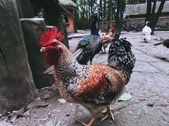 -蒙特利亲子乐园