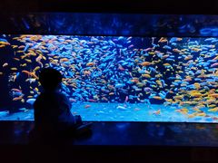 -成都浩海立方海洋公园