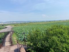 -处女泉风景名胜区