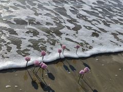 -青澳湾北回归线广场