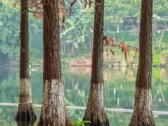 -重庆彩云湖湿地公园