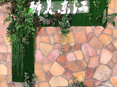 -醉美东江·三文鱼·烧鸡公